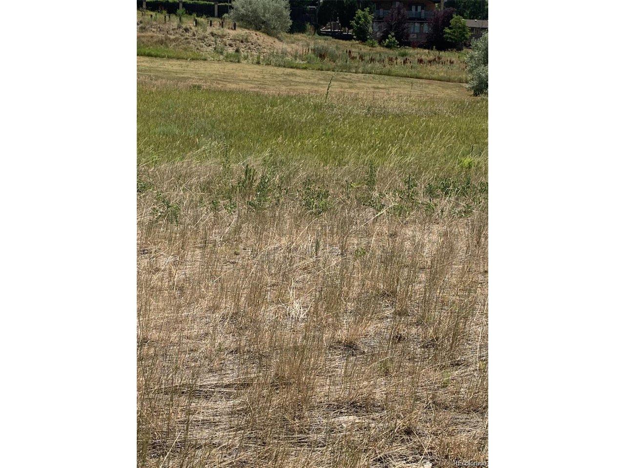 Image 3 Image 3