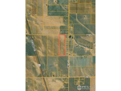 County Road 96 Rd