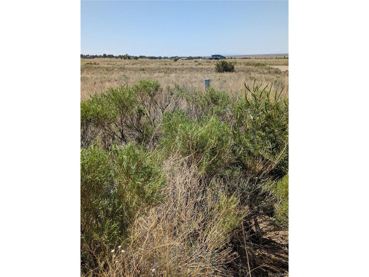 Image 4 Image 4