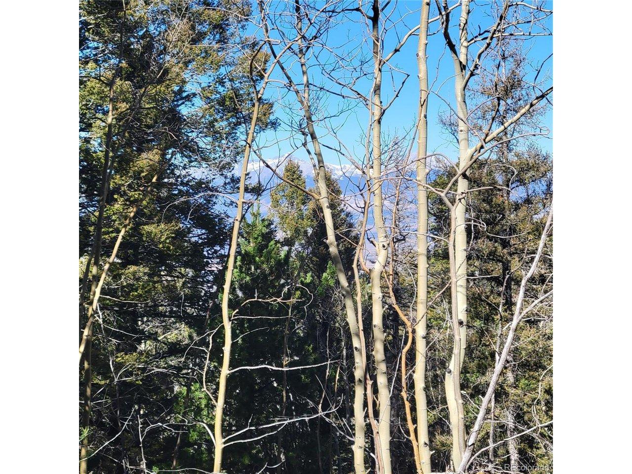 Image 3 Image 3