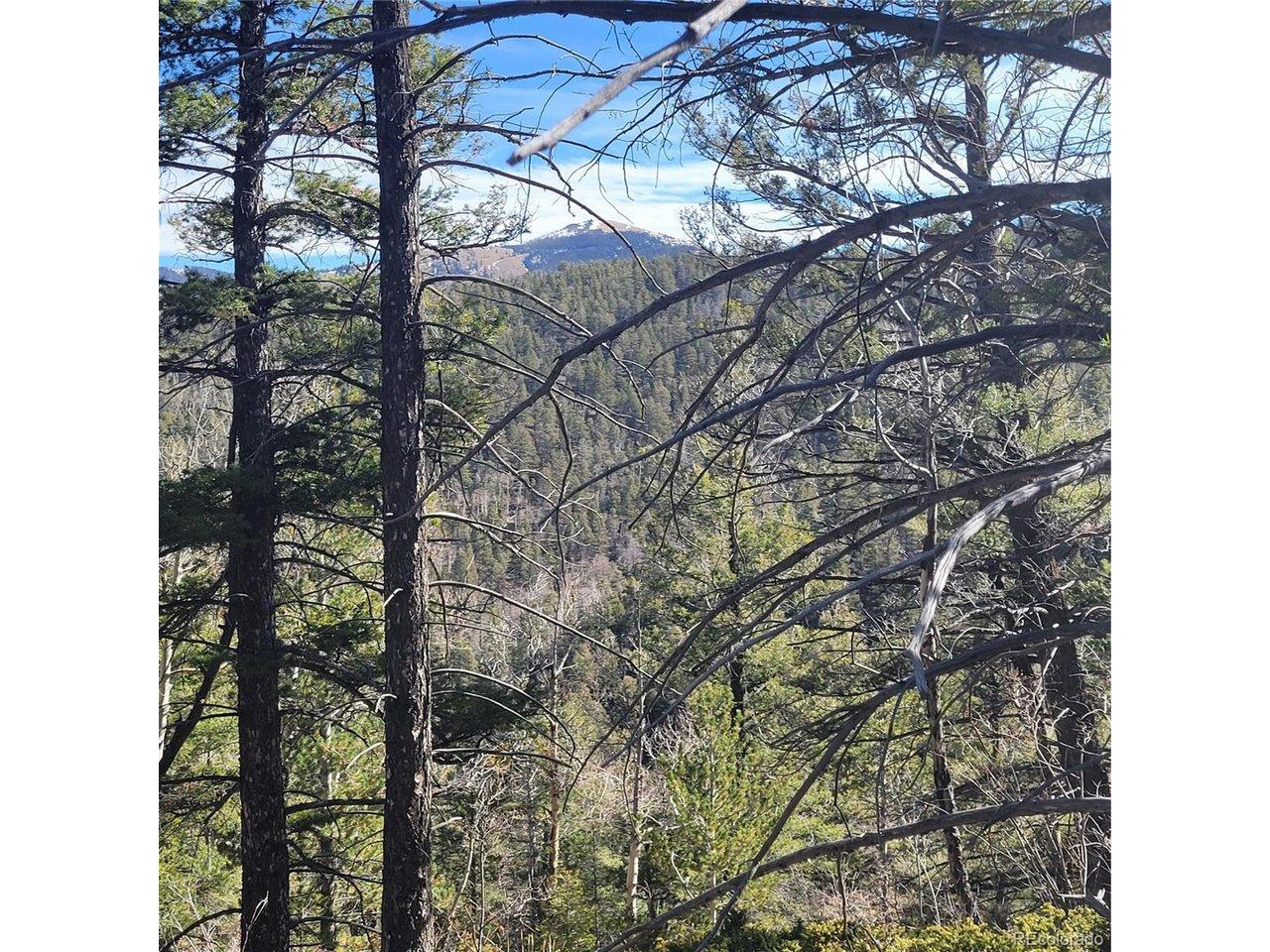 Image 4 Image 4