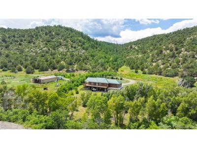 33822 Fishers Peak Pkwy