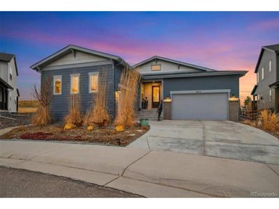 4936 Saddle Iron Rd