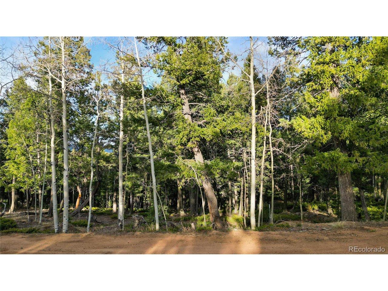 Image 1: Mature trees Image 1: Mature trees