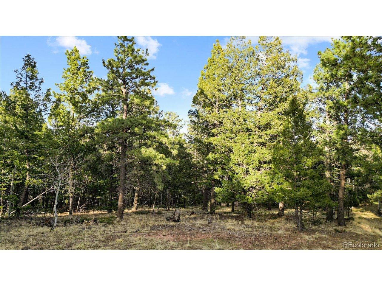 Image 2: Mature trees Image 2: Mature trees