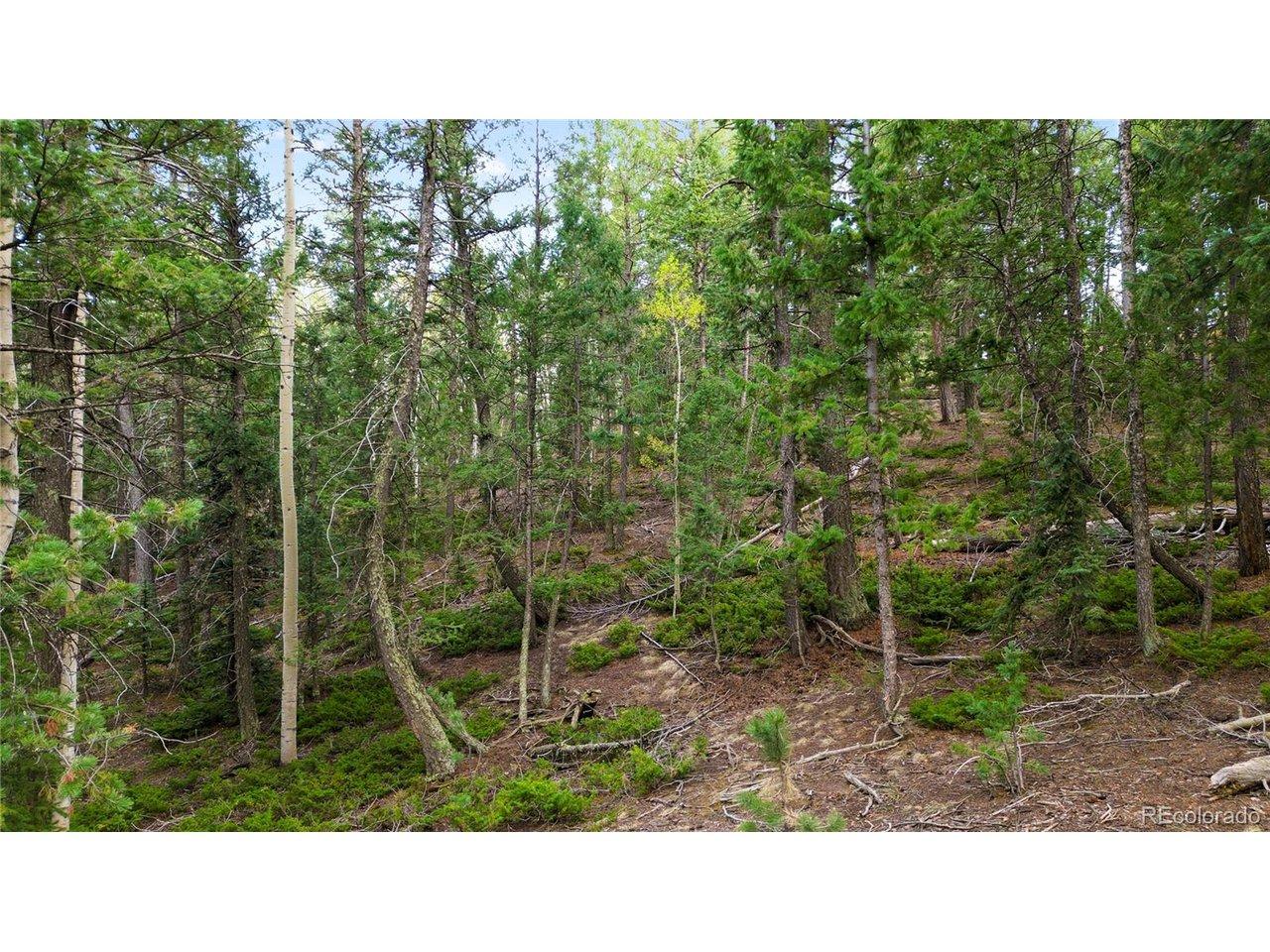 Image 3 Image 3
