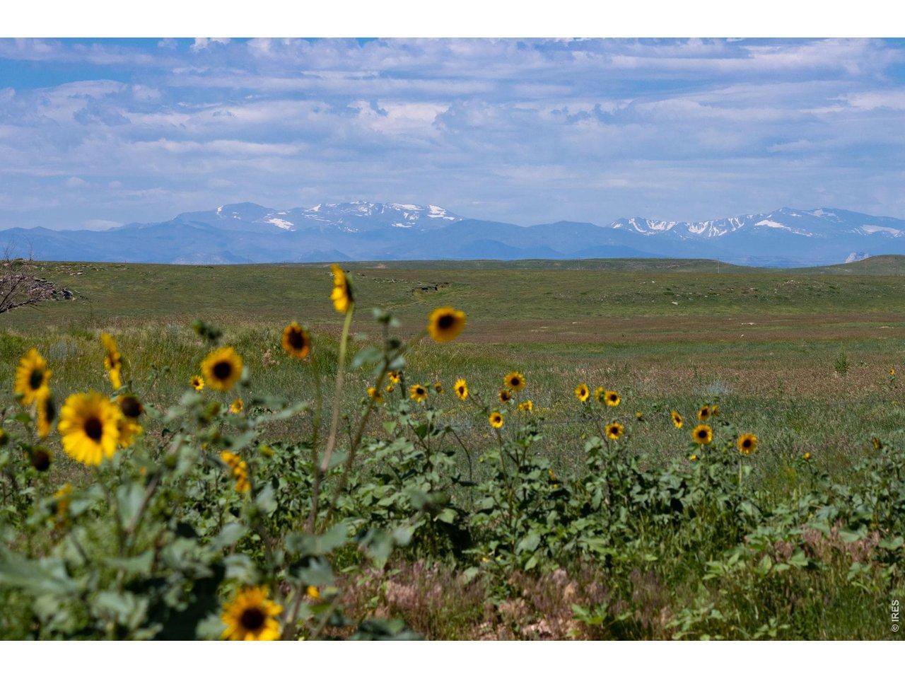 Image 3: Discover the freedom to build your ideal home amidst vast, unspoiled landscapes in Carr, Colorado