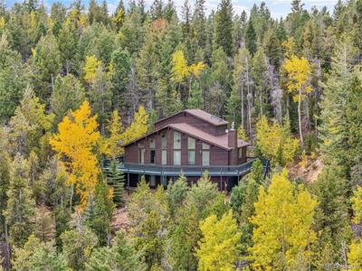 11333 Conifer Mountain Rd