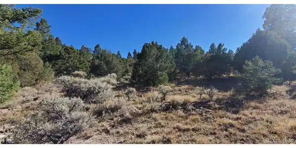Image 4 Image 4