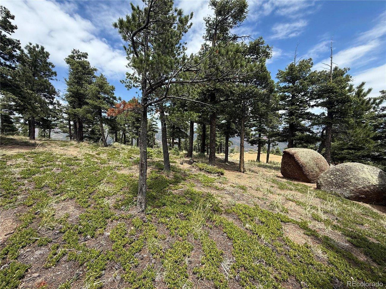 Image 1: Build Site Image 1: Build Site