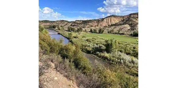 41008 County Road 5