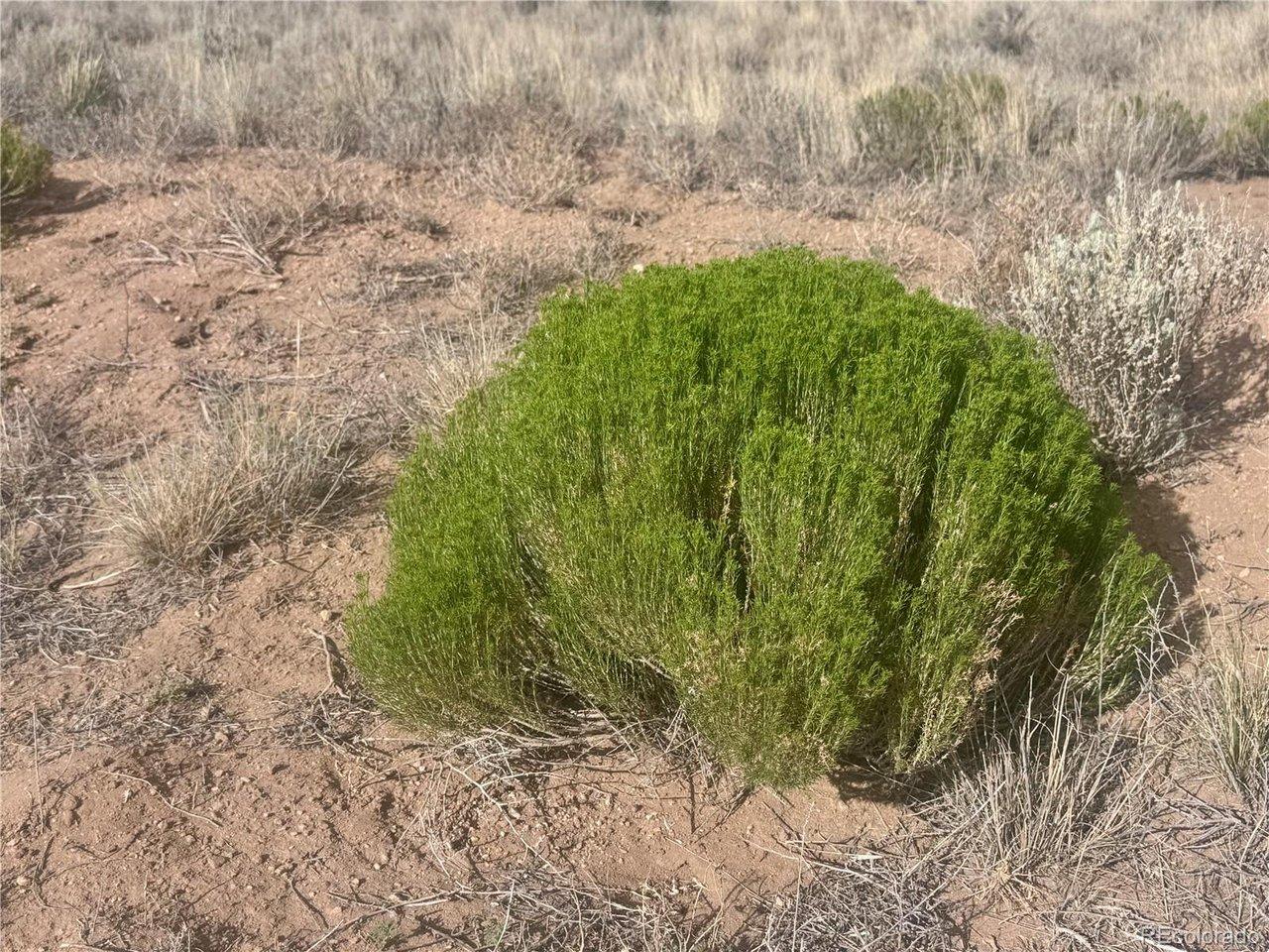 Image 3 Image 3