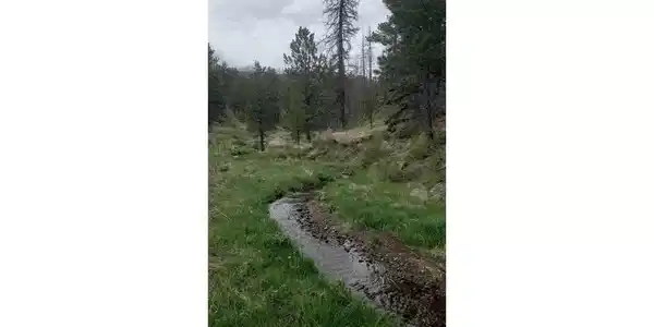 Image 2: Stream running through lower section of the lot. Image 2: Stream running through lower section of the lot.