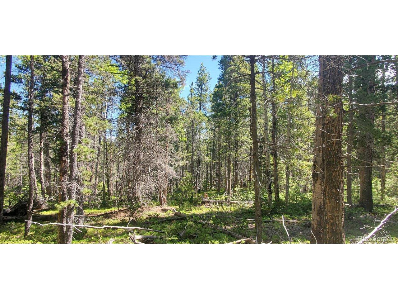 Image 3 Image 3