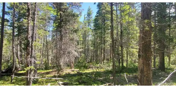 Image 3 Image 3
