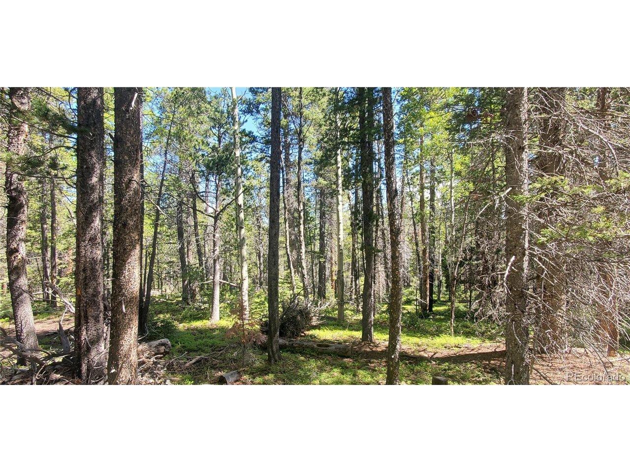 Image 4 Image 4