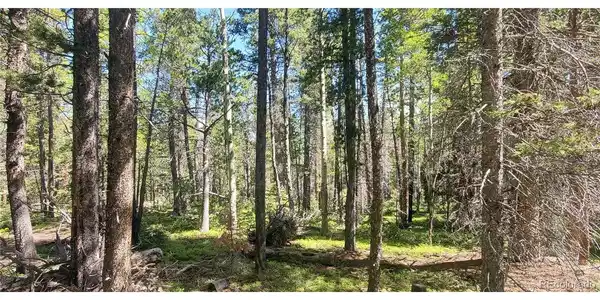 Image 4 Image 4