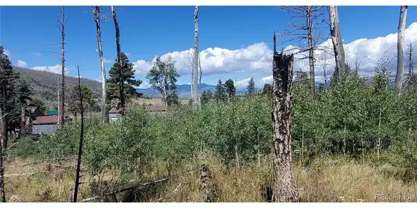 Image 4 Image 4