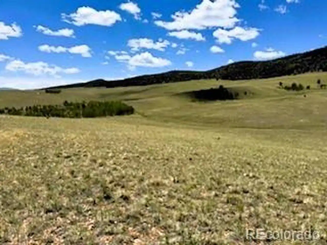 Image 1: South southwest view across the property