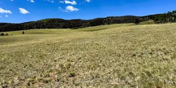 Image 2: South southwest view across the property