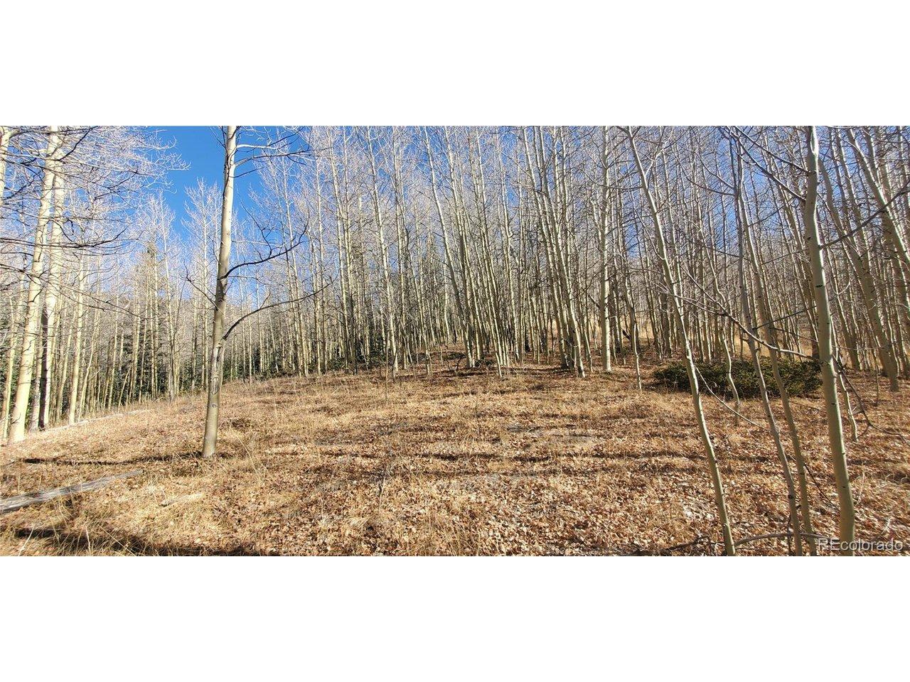 Image 4 Image 4