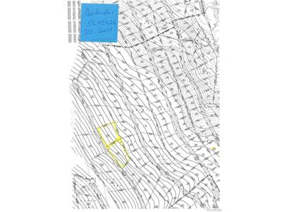 2999 Drexler Pl