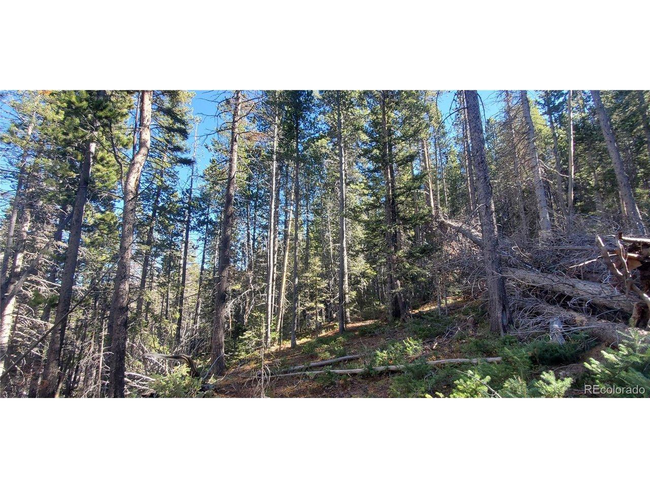 Image 4 Image 4