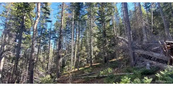 Image 4 Image 4