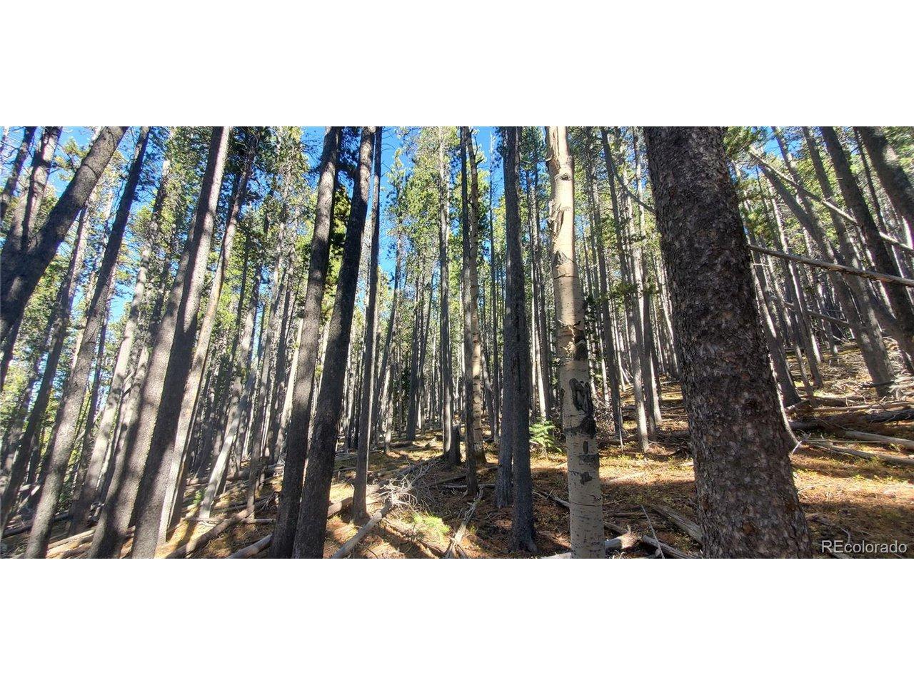 Image 4 Image 4