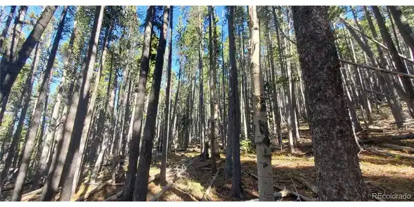 Image 4 Image 4