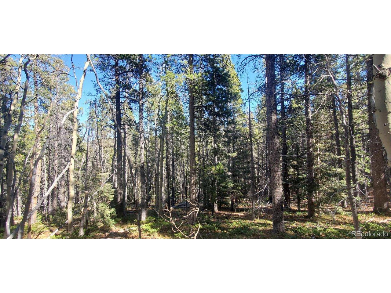 Image 4 Image 4