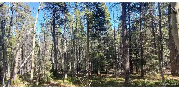 Image 4 Image 4