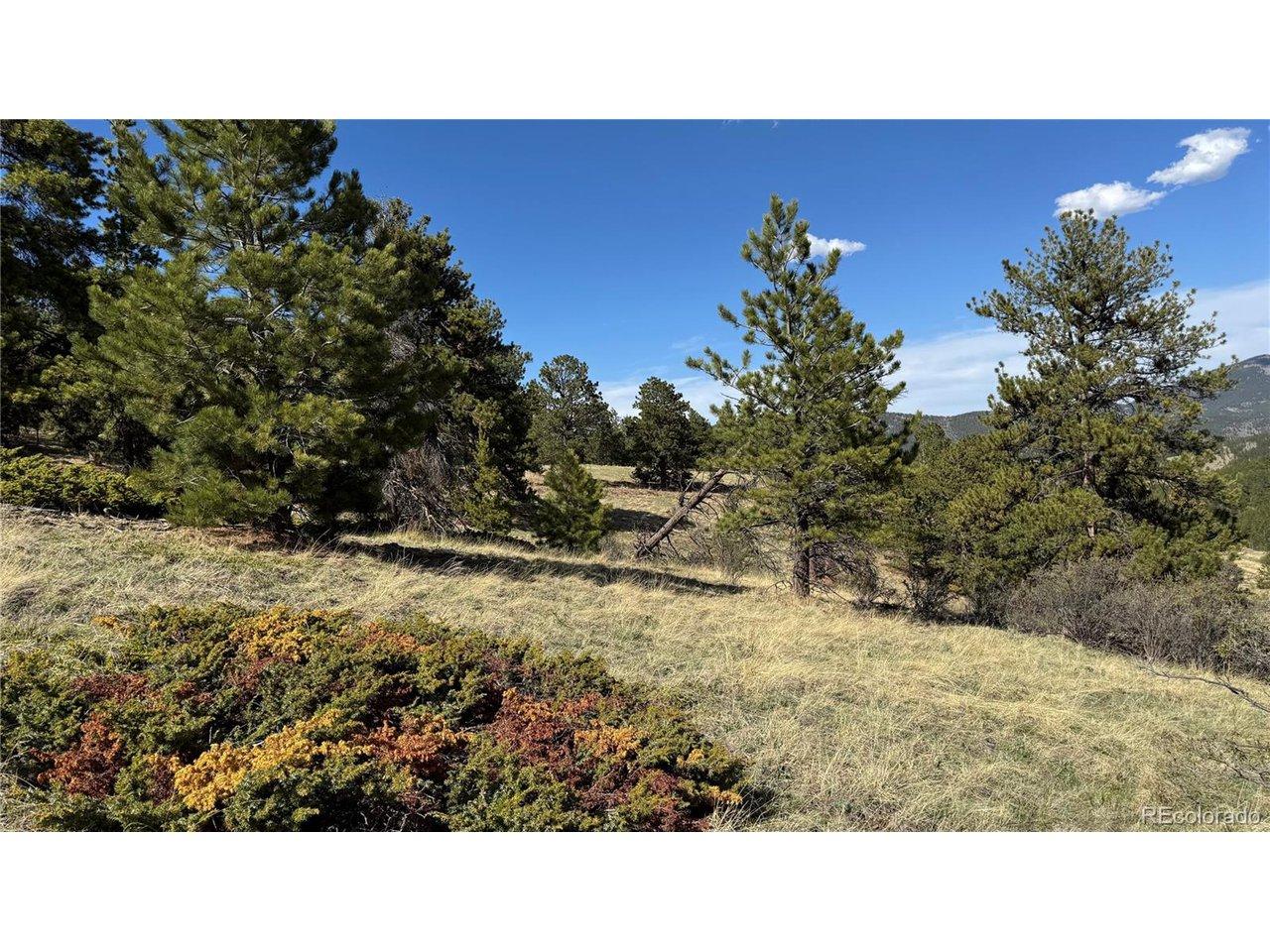 Image 4 Image 4