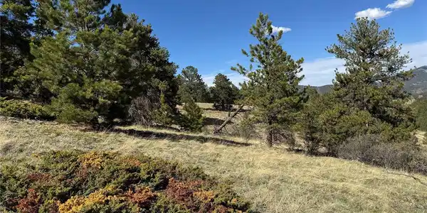 Image 4 Image 4
