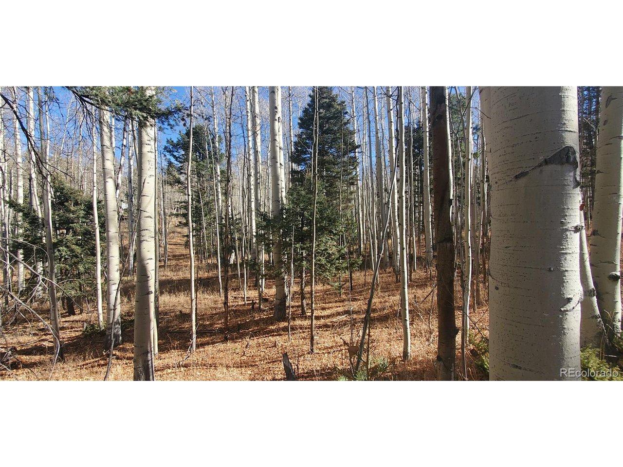 Image 2 Image 2