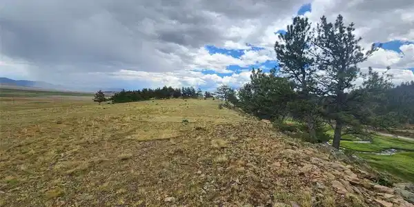 Image 4 Image 4