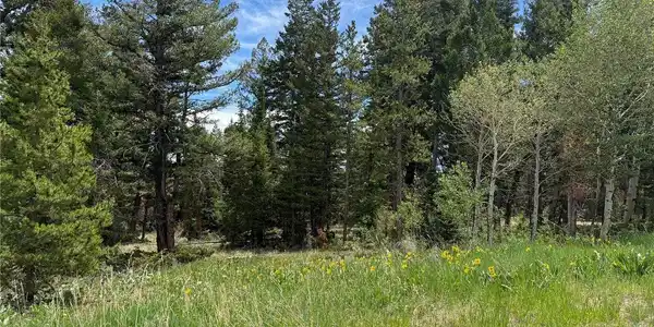 Image 2: Mixture of pines, aspens and pasture. Image 2: Mixture of pines, aspens and pasture.