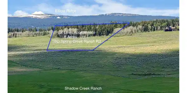 Image 4 Image 4