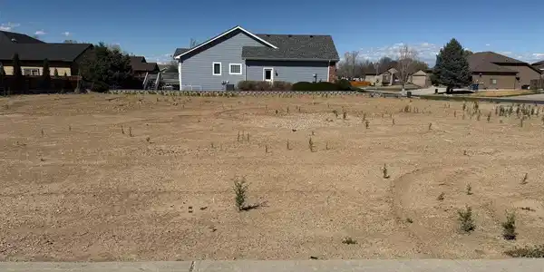 Image 2: Large corner lot