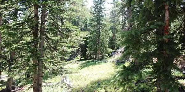Image 2 Image 2
