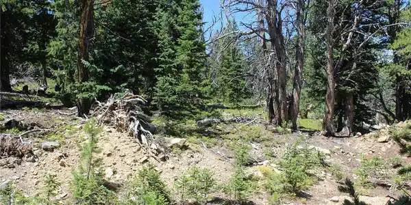 Image 4 Image 4