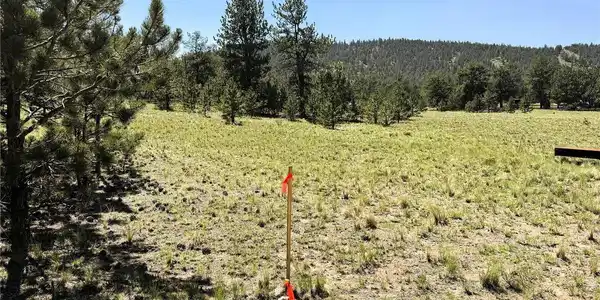 Image 4: Looking west from the northeast corner across the back property line Image 4: Looking west from the northeast corner across the back property line