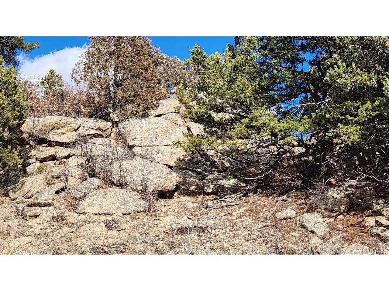 Image 1 Image 1