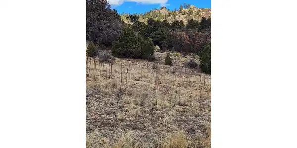 Image 4 Image 4