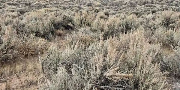 Image 3 Image 3