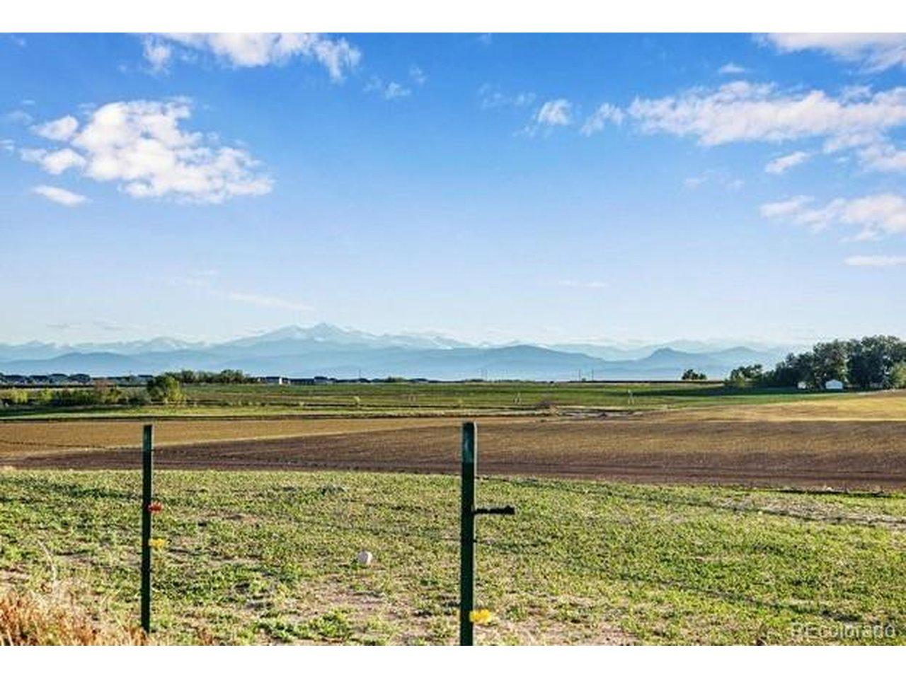 Image 3: On top of the hill looking West Image 3: On top of the hill looking West