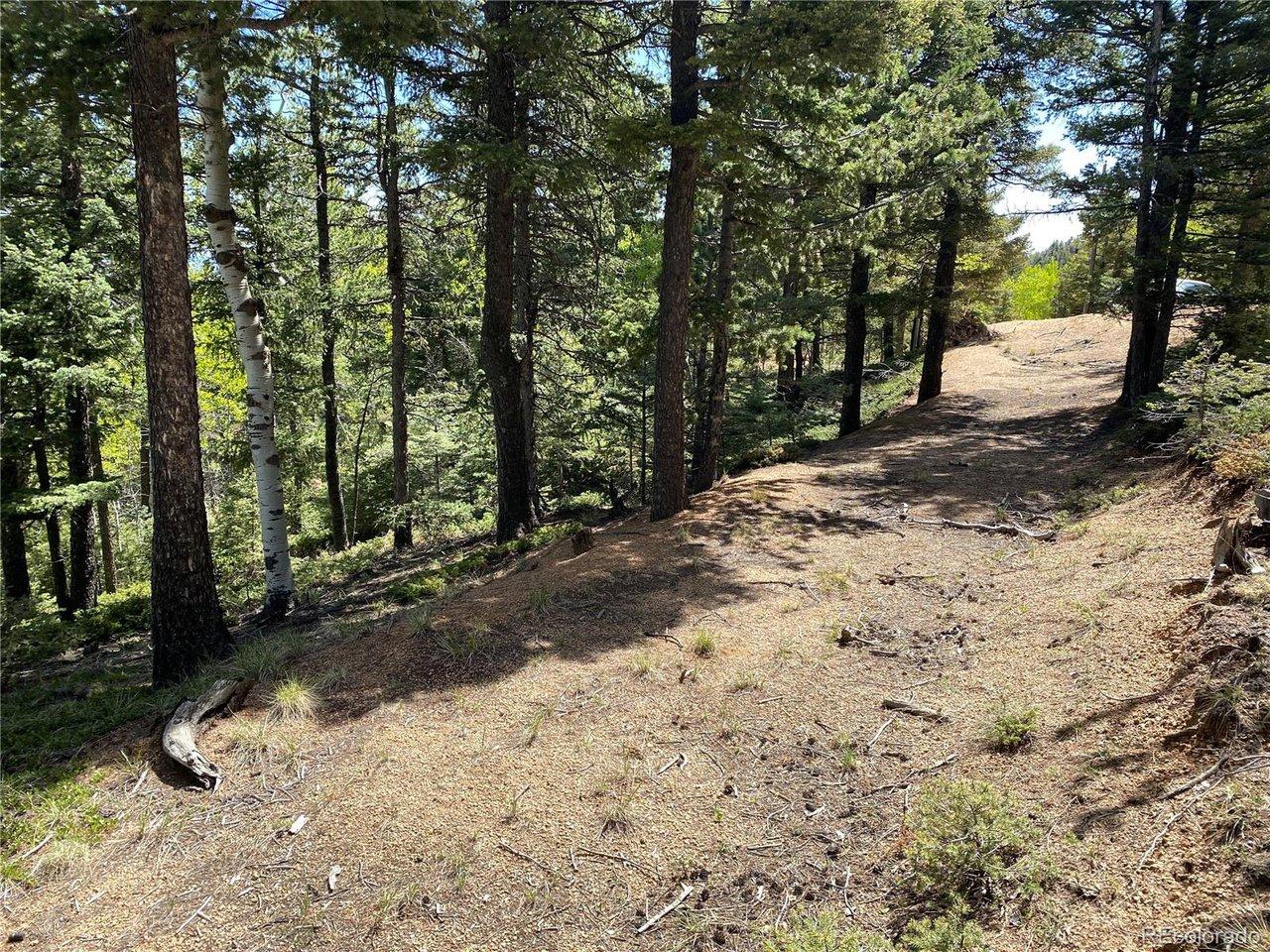 Image 4: Looking up the driveway from the build site Image 4: Looking up the driveway from the build site