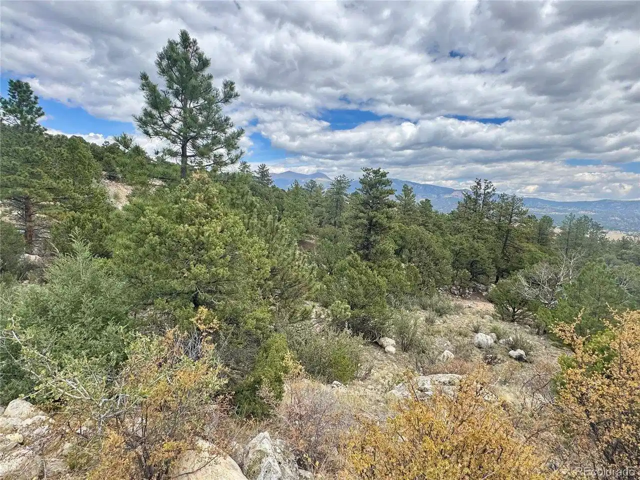 Image 1 Image 1