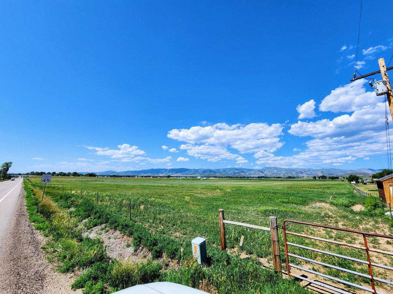 Image 4: Blue Skies & Sunshine Image 4: Blue Skies & Sunshine