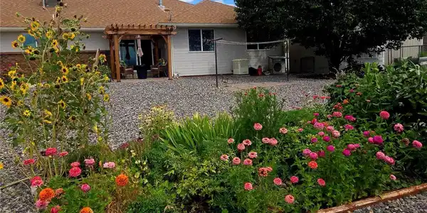 Image 2: Back Yard